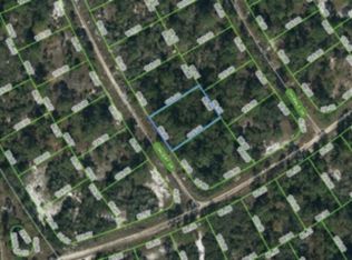 363 Concert Dr, Lake Placid, FL 33852