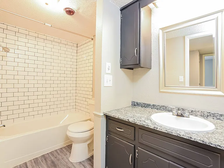 Premium unit bathroom (10FB10) Premium unit bathroom (10FB10)