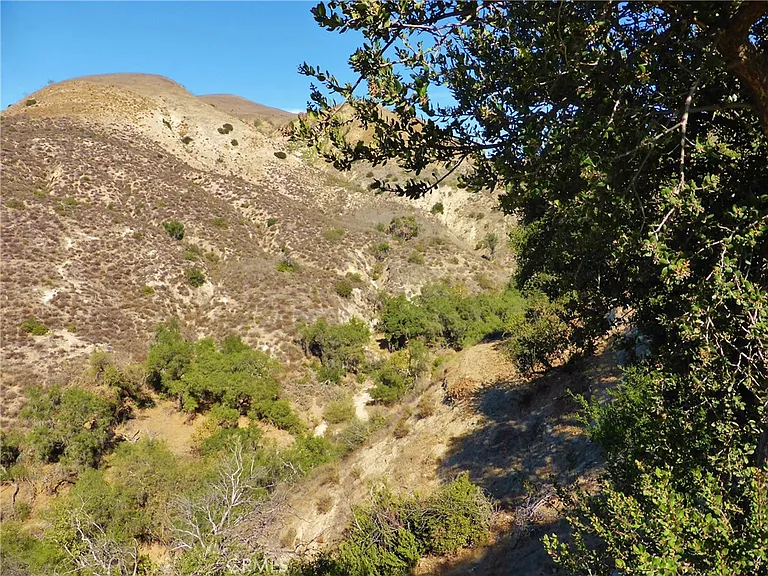 26161 Owl Ct — Photo 28