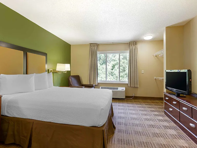 Studio Suite - 1 Queen Bed