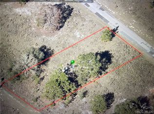 11184 N Terra Cotta Dr, Citrus Springs, FL 34434