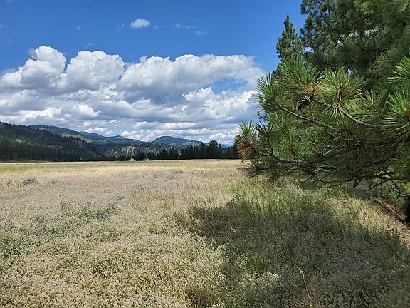 4th image of 2646 Northport Flat Creek Rd