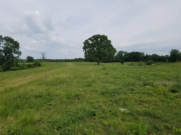 158 Ac Blackfoot Hollow Rd, Anderson, MO 64831