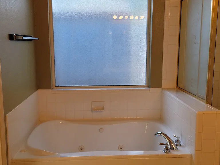 Master bathroom tub/ shower