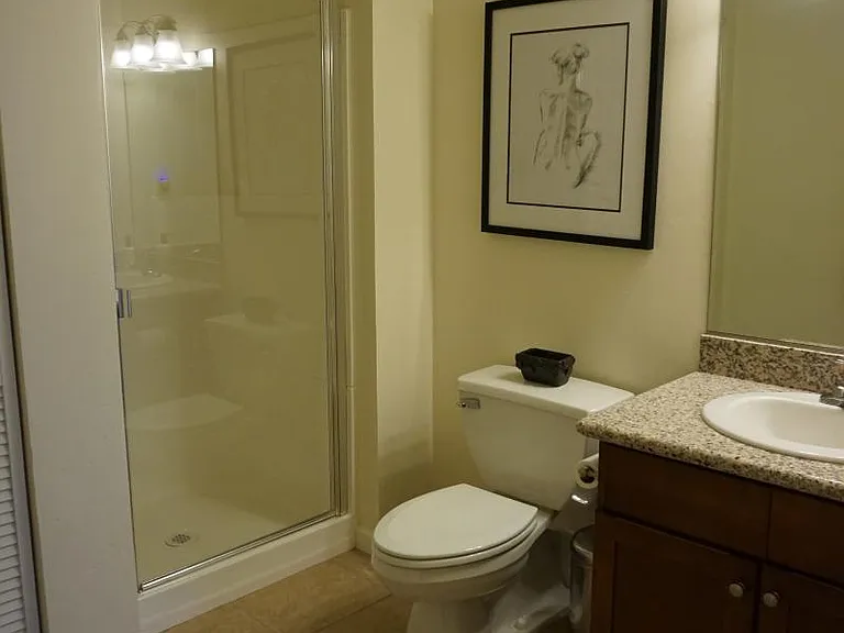 Guest bathroom