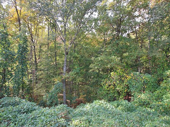 3rd image of 512 514 Lake Breeze Ln