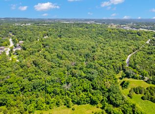 301 Cahill Road, Branson, MO 65616