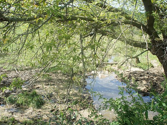 Creek runs thru property