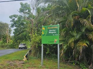 Bo Toita Sector Mogote, Cayey, PR 00737