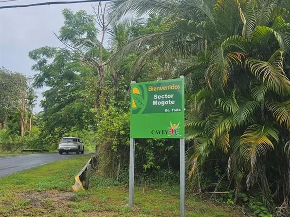 Bo Toita Sector Mogote, Cayey, PR 00737