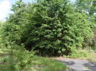 1529 Hopkins St, Cayce, SC 29033