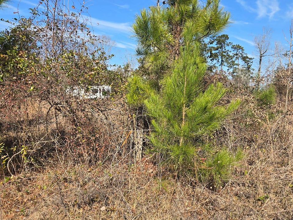 2nd image of 0 Highway 28