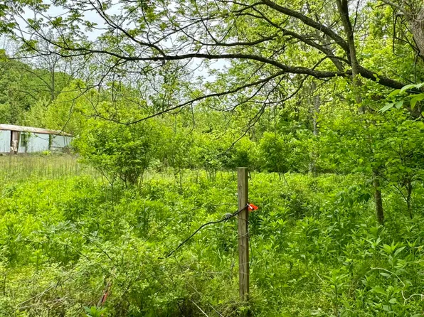 1584 Honeytree Ln, Max Meadows, VA 24360