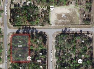 2950 W Pintado Dr, Citrus Springs, FL 34433