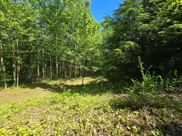 Toney Fork Rd, Scarbro, WV 25917