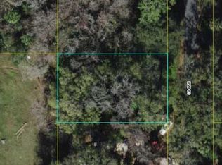 County Road 426 E LOT 19, Lake Panasoffkee, FL 33538