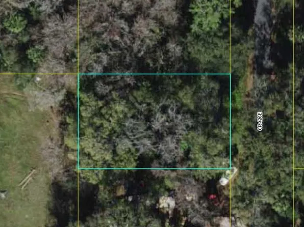 County Road 426 E Lot 19, Lake Panasoffkee, FL 33538