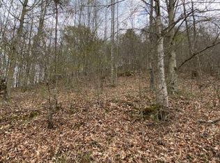 Hurricane Creek Rd, Sandy Hook, KY 41171