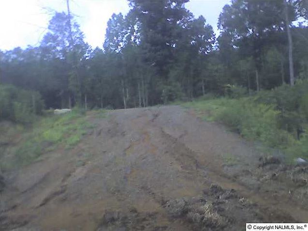 1st image of 53 Buckskin Dr