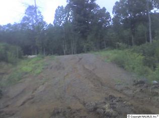 53 Buckskin Dr, Guntersville, AL 35976