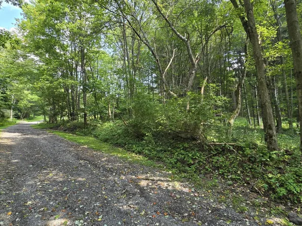 0 Strawberry Rd, Lilly, PA 15938