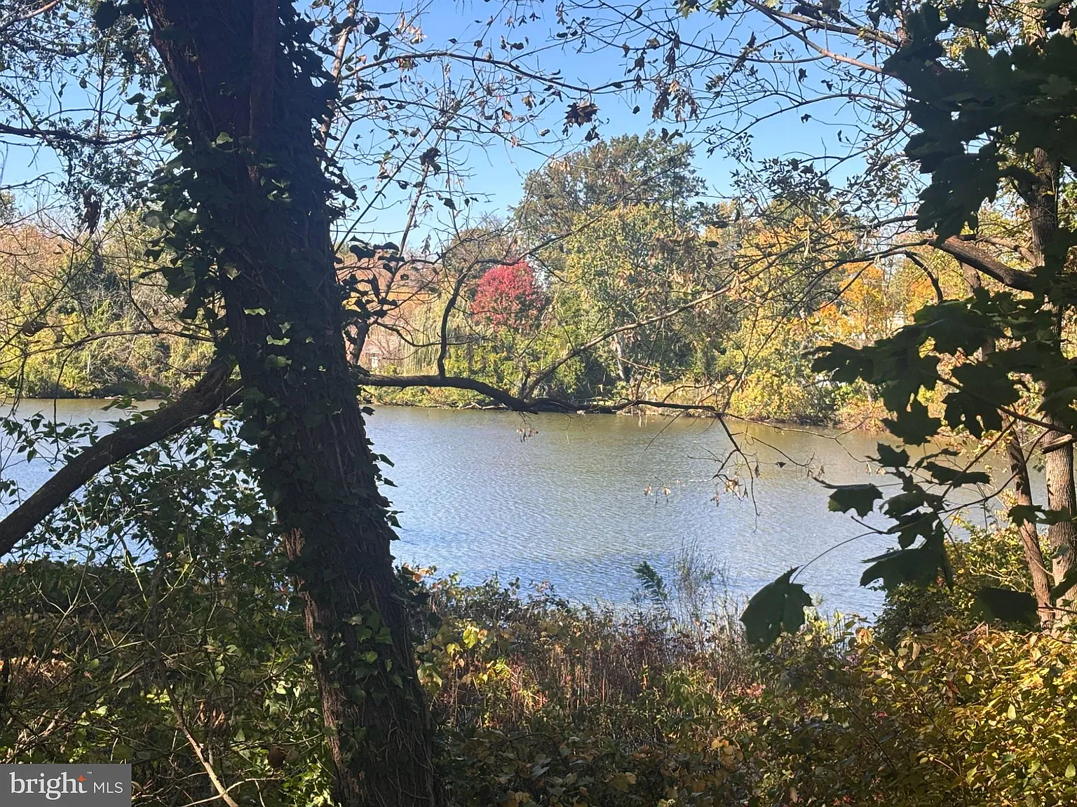 2 bed, 1.0 bath, 1896 sqft, $2,200 — Photo 3