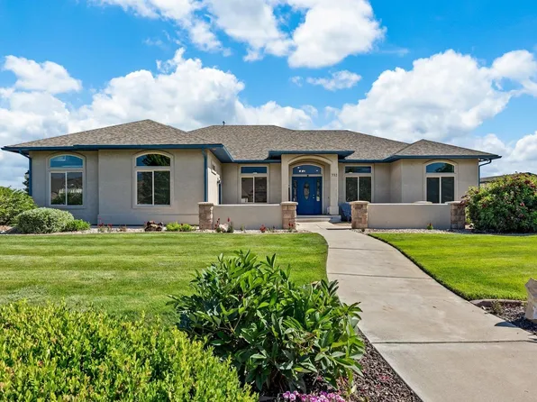 933 Mancos Way, Fruita, CO 81521