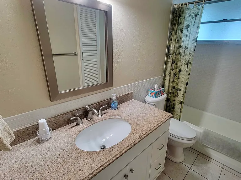 Guest bathroom.