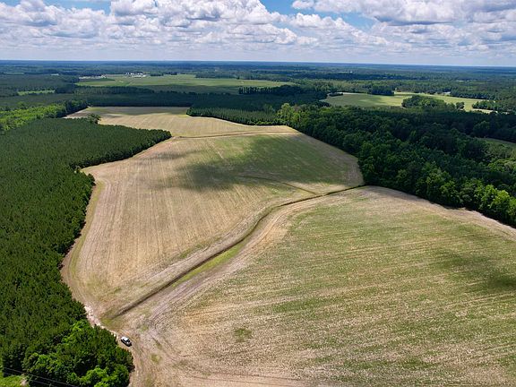 4th image of 83.03 Acres - Birch Creek Rd.