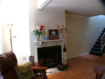 Wood Burning Fireplace