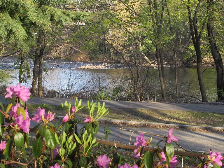View of Charles River from backyard