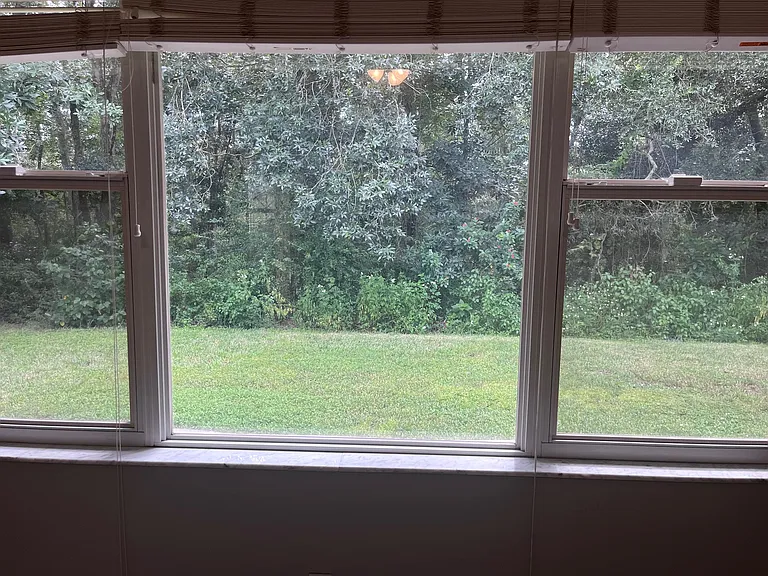 11259 Rivers Bluff Cir — Photo 11