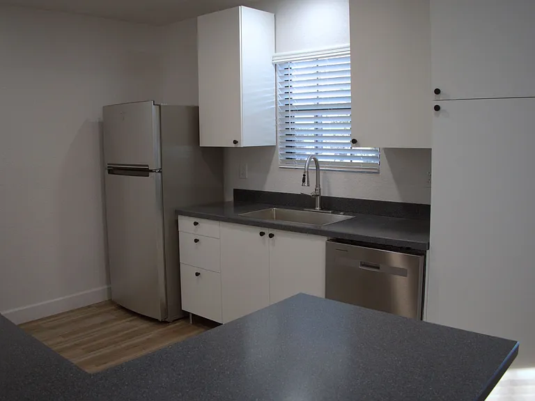 241 Brushy Creek Trl — Photo 11