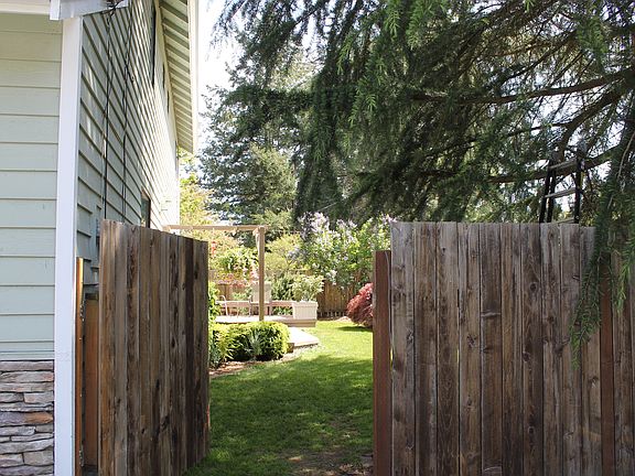 Backyard/ right side