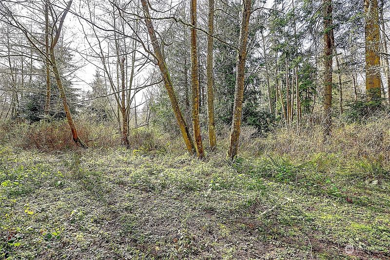 3rd image of 1802 Amber View Place