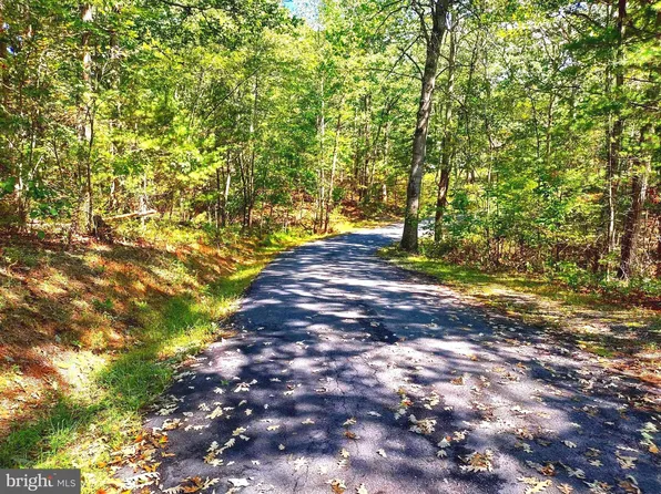 0 Ironwood Sycamore Rd, Mount Jackson, VA 22842