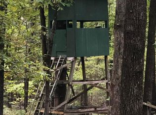 51 Buck Ridge Ln #52, Williford, AR 72482