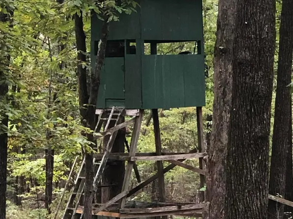 51 Buck Ridge Ln #52, Williford, AR 72482