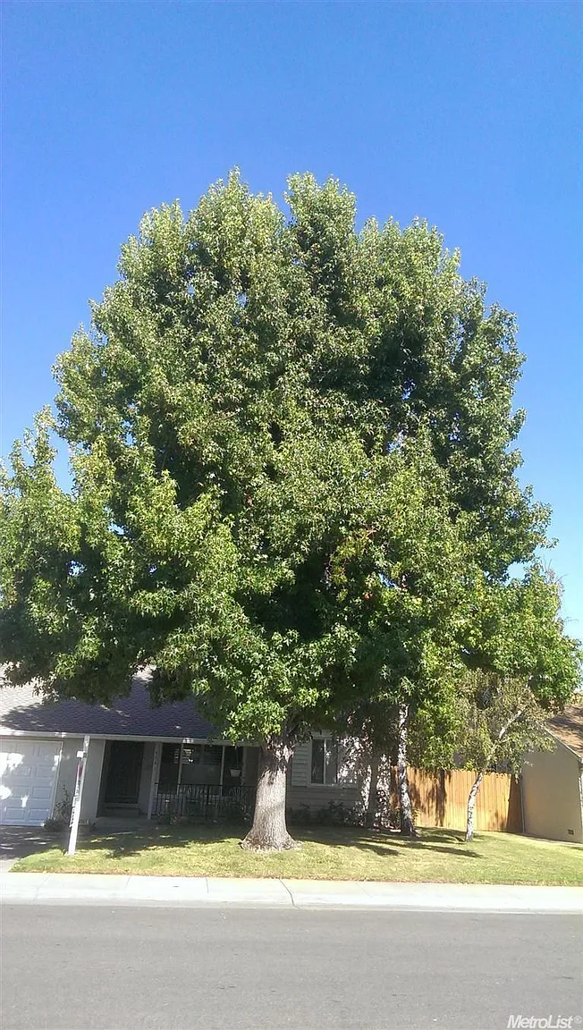4661 22nd St photo 1