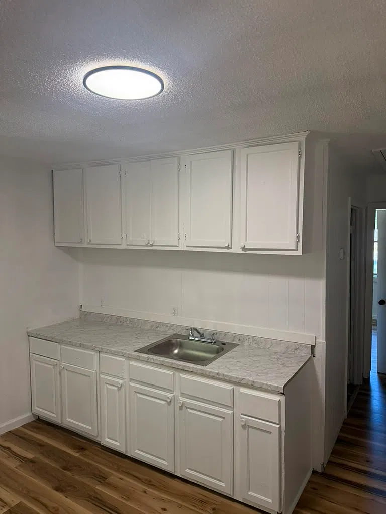 3 bed, 866 sqft, $1,250 — Photo 3