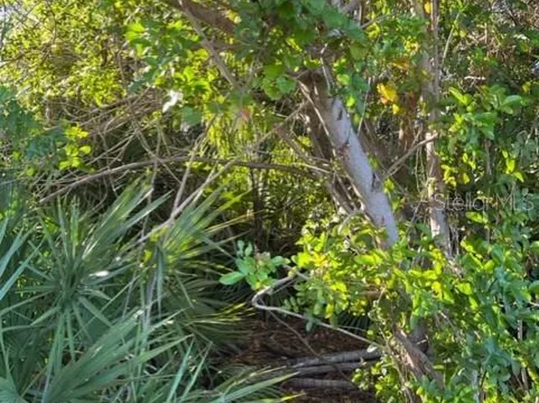(undisclosed Address), Seminole, FL 33776