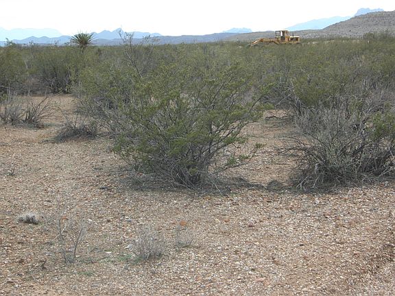 4th image of Cedar Springs Road