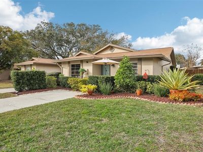 5117 Lesher Ct, Tampa, FL, 33624