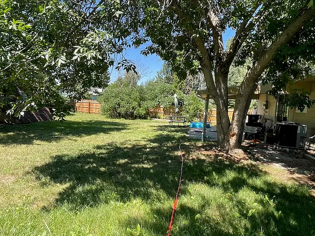 Large backyard and patio, mature trees