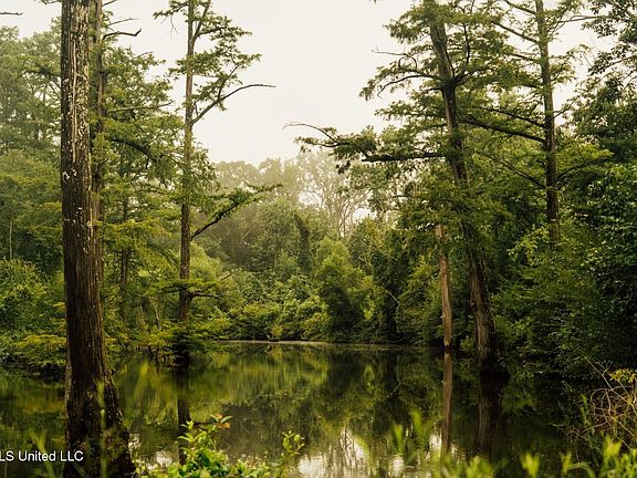 8th image of this home