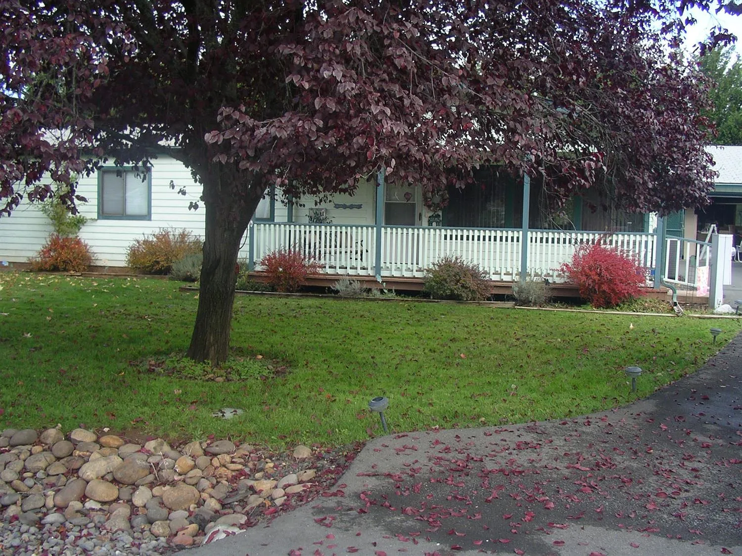 303 Whitetail Ln photo 1
