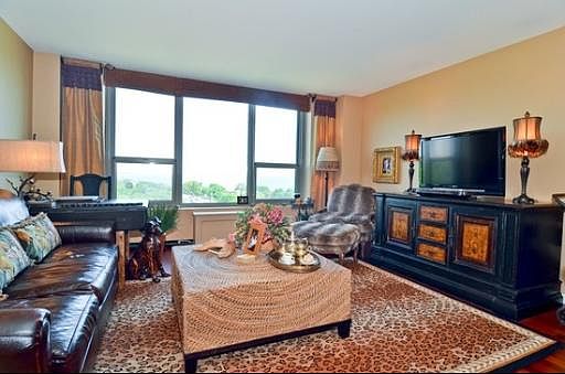 2nd image of 1550 N Lake Shore Dr APT 8C