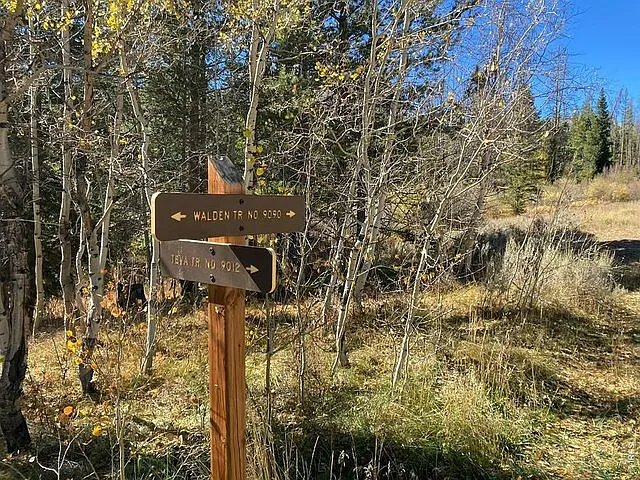 8500 Ryan Gulch Rd — Photo 35