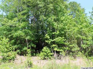 497 Na County Rd, Centre, AL 35960