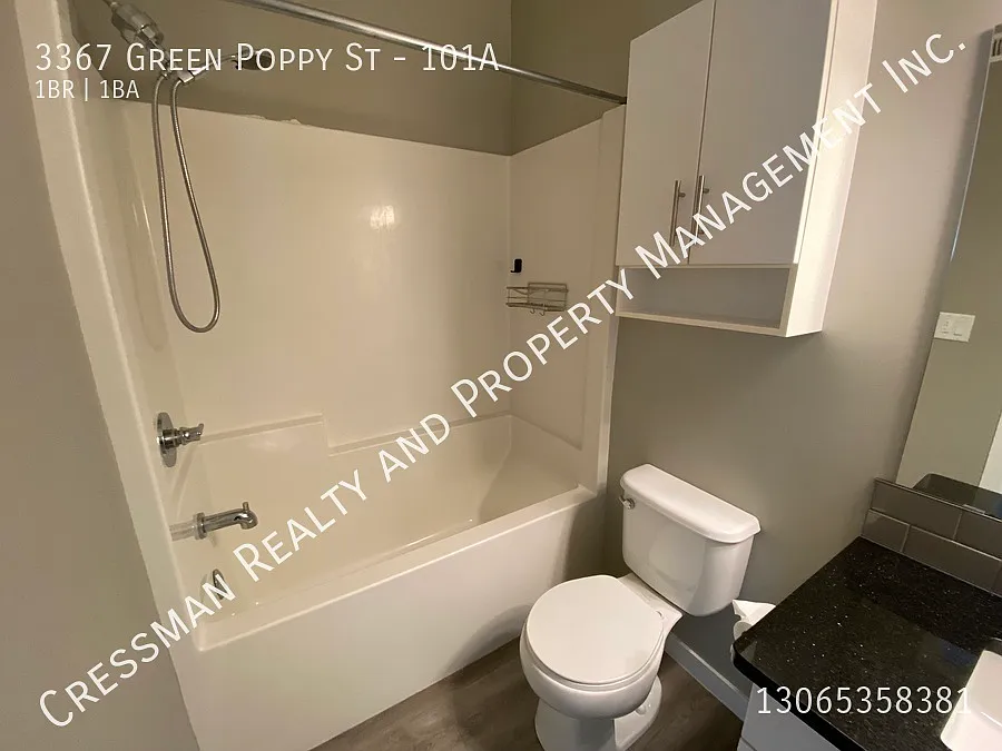 3367 Green Poppy St — Photo 3